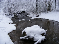 Foto 17 - Vichtbach im Schnee