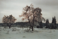 Foto 50 - Schneelandschaft