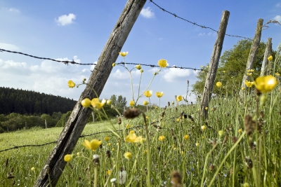 Naturpark Hohes Venn-Eifel