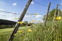 Naturpark Hohes Venn-Eifel