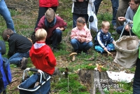 pilze_17