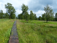2015-Struffeltexkursion_09
