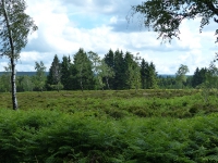 2015-Struffeltexkursion_20