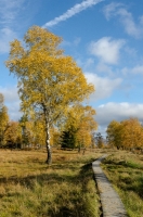 Foto 04 - Auf dem Struffelt im Herbst - 01