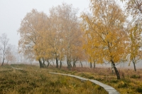 Foto 05 - Auf dem Struffelt im Herbst - 02