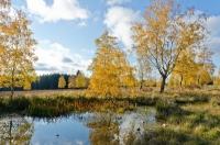 Foto 06 - Auf dem Struffelt im Herbst - 03