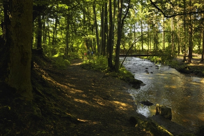 Foto 02 - Sommer am Eifelsteig