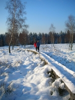 Foto 08 - Der verschneite Knüppeldamm auf dem Struffelt