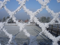 Foto 59 - Winterlicher Durchblick auf Rott am 01. Februar 2011
