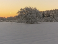 Foto 63 - Sonnenuntergang im Winter