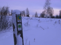 Foto 64 - Winter auf dem Struffelt