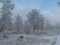 Foto 65 - Winter Struffelt