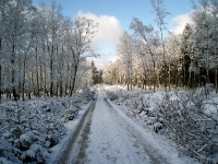 Foto 66 - Eifelsteig im Winter
