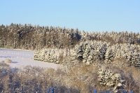 Foto 87 - Schnee bei den Großeltern - 01