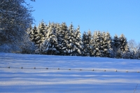 Foto 88 - Schnee bei den Großeltern - 02