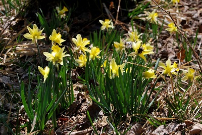 20120422-Frühjahrswanderung