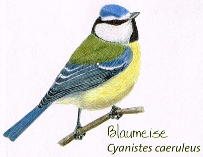 20120506-Vogelwanderung