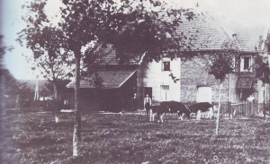 RE-1-Seite27-Villa-Kinon-Thiron-LammersdorferStr. 26